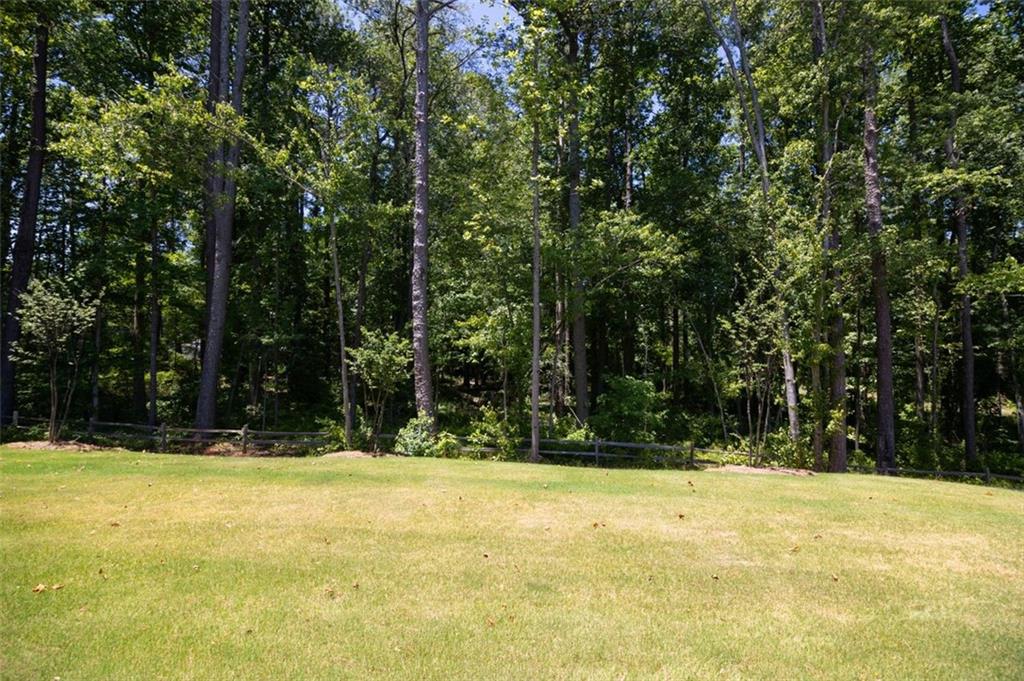 1150 Sweet Mia Lane, Powder Springs, Georgia image 39