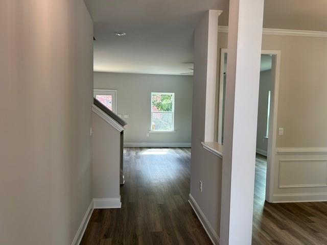 Habersham Meadows - Residential