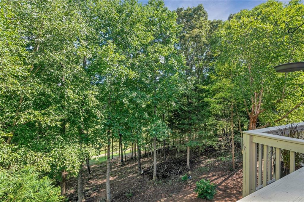 162 River Sound Lane, Dawsonville, Georgia image 39