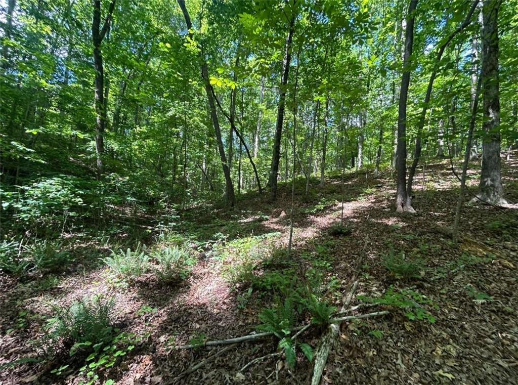 0 Fouts Mill Rd