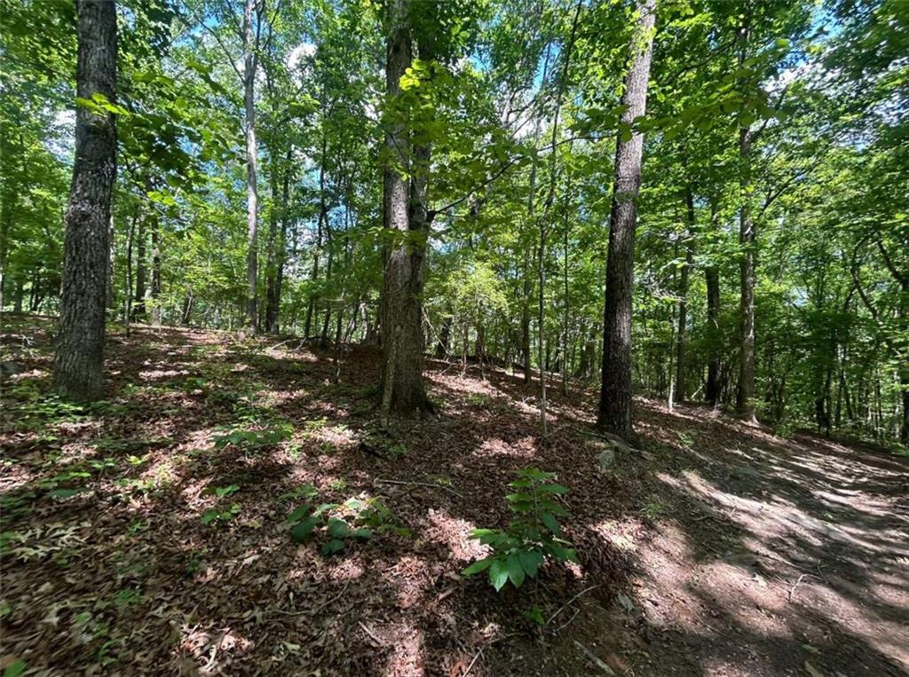 0 Fouts Mill Rd
