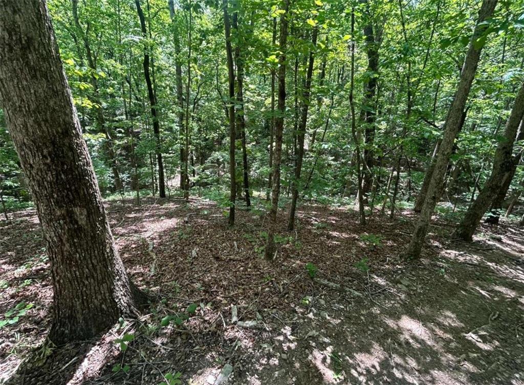 0 Fouts Mill Rd