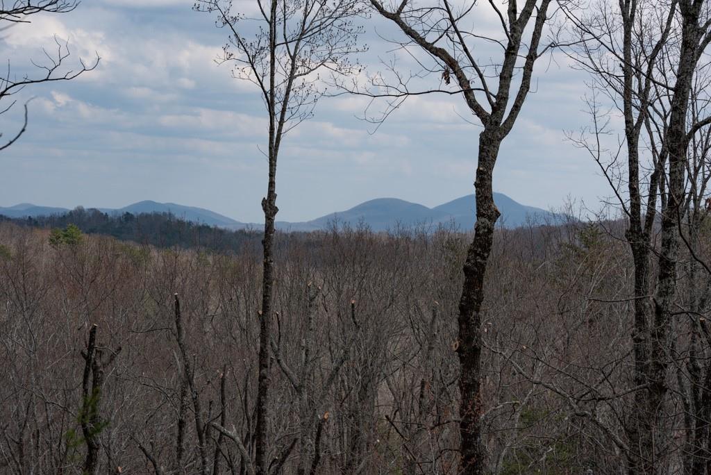 Lot 5 Huntington Pl Place, Dahlonega, Georgia image 2