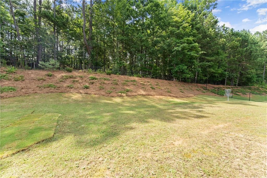 Traditions of Braselton - Residential