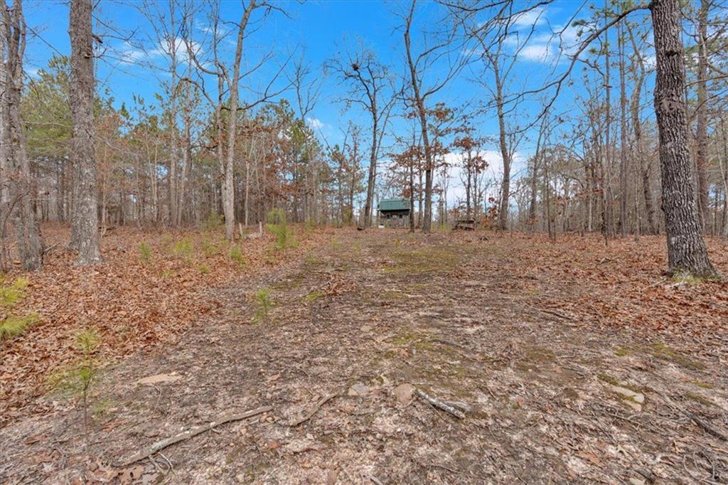 Raburn Lake Rd Road, Bremen, Georgia image 26