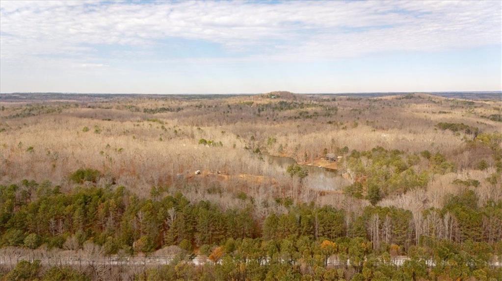 Raburn Lake Rd Road, Bremen, Georgia image 15