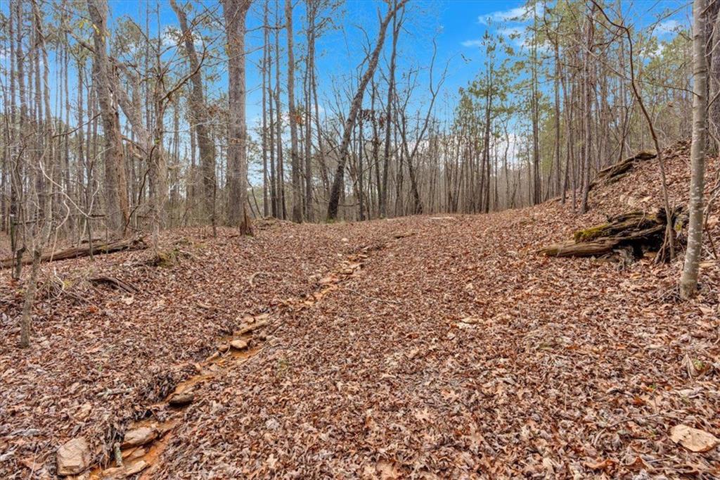 Raburn Lake Rd Road, Bremen, Georgia image 19