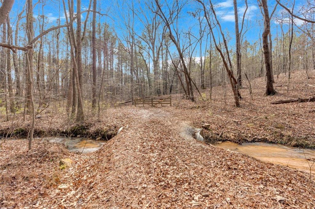 Raburn Lake Rd Road, Bremen, Georgia image 3