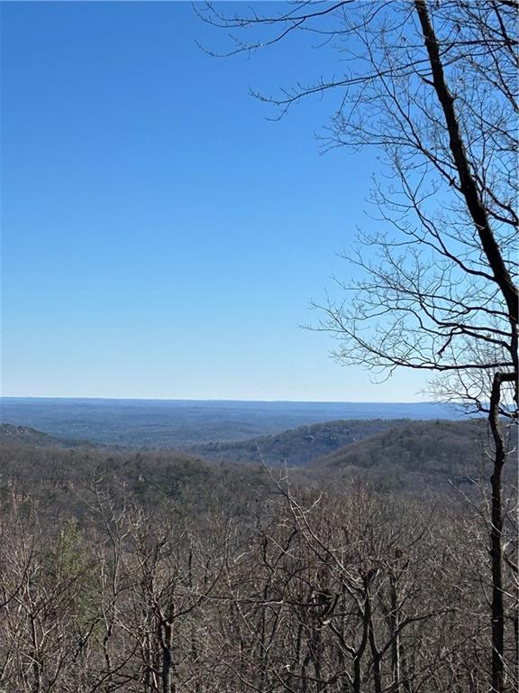 548 Columbine Drive, Big Canoe, Georgia image 50