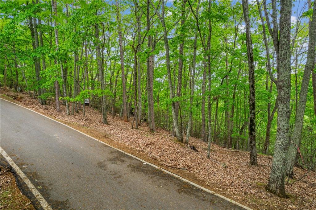 1150 Swallow Point, Big Canoe, Georgia image 7