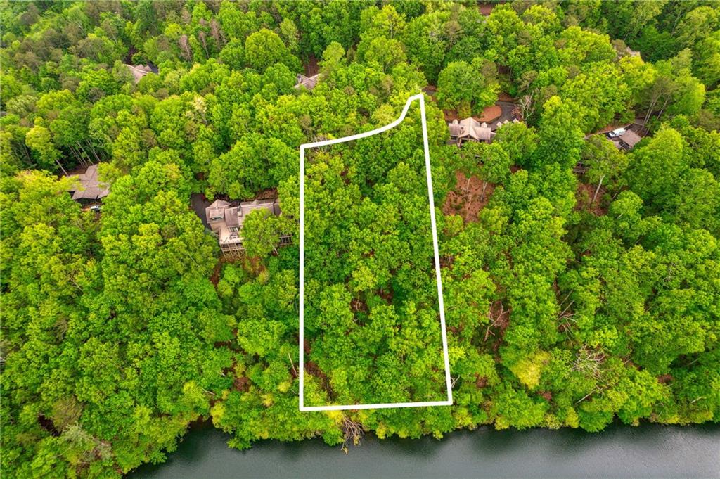 1150 Swallow Point, Big Canoe, Georgia image 4