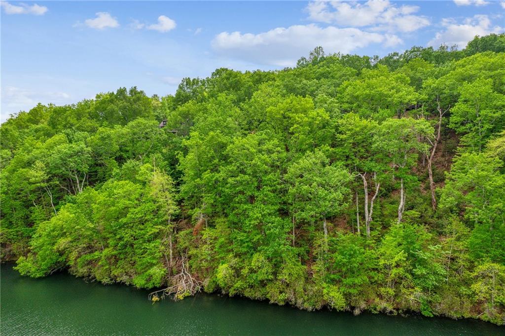1150 Swallow Point, Big Canoe, Georgia image 6