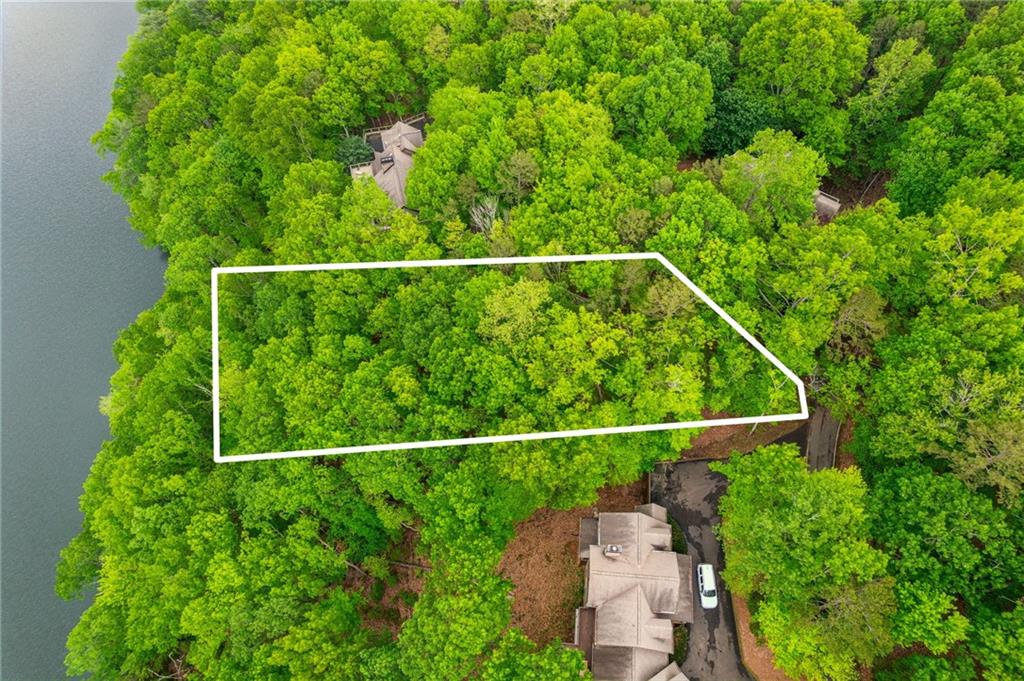 1150 Swallow Point, Big Canoe, Georgia image 5