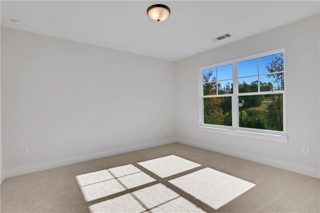 7004 Manchester Drive, Flowery Branch, Georgia image 37