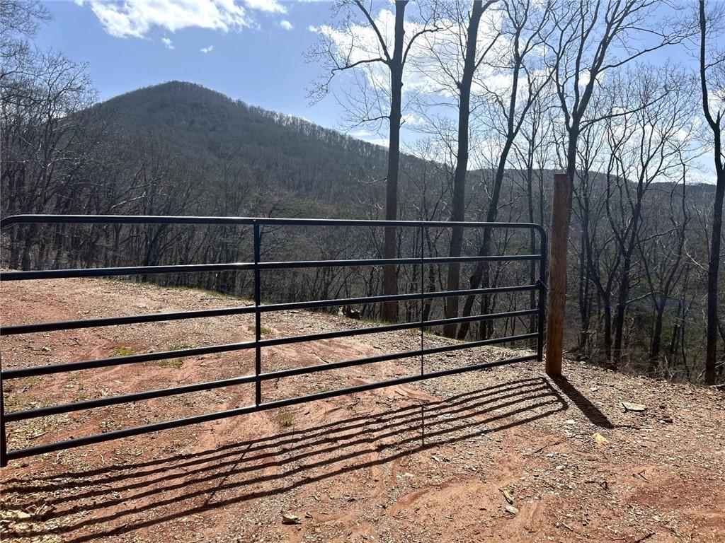 Firetower Road, Jasper, Georgia image 3