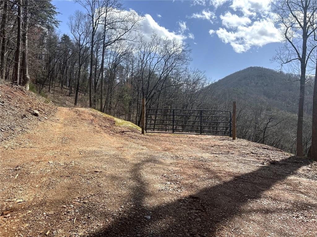 Firetower Road, Jasper, Georgia image 6