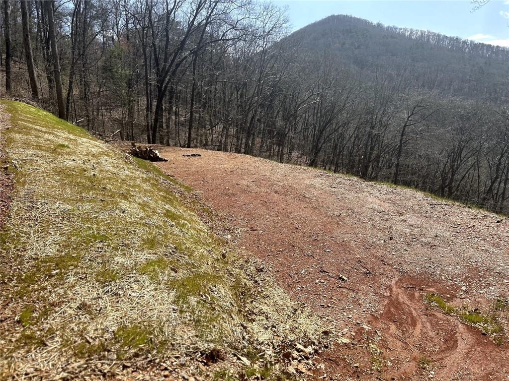 Firetower Road, Jasper, Georgia image 7