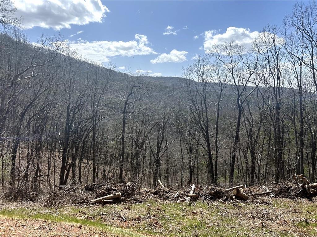 Firetower Road, Jasper, Georgia image 5