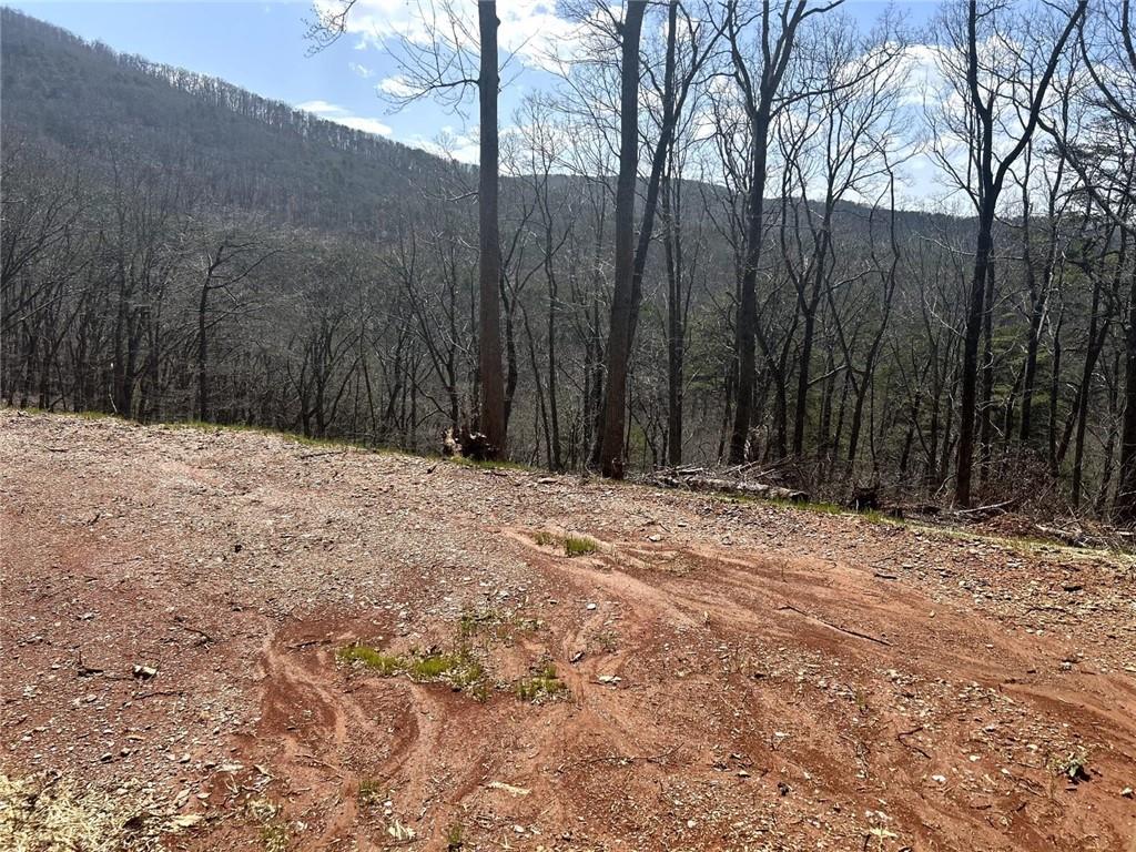 Firetower Road, Jasper, Georgia image 10