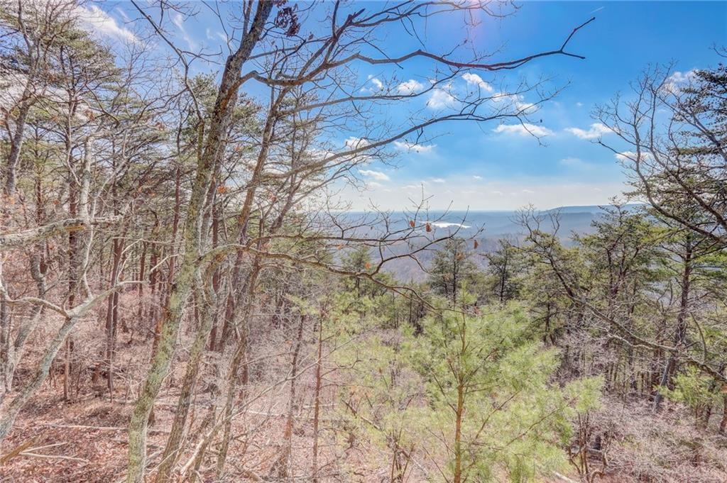 1915 Tower Trail, Waleska, Georgia image 3