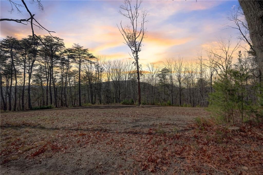 1915 Tower Trail, Waleska, Georgia image 12