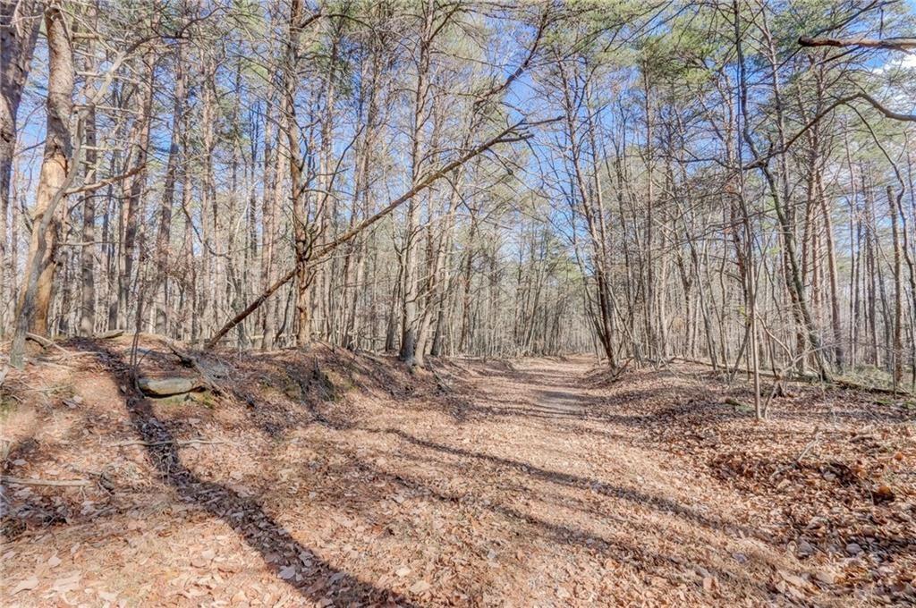 1915 Tower Trail, Waleska, Georgia image 9