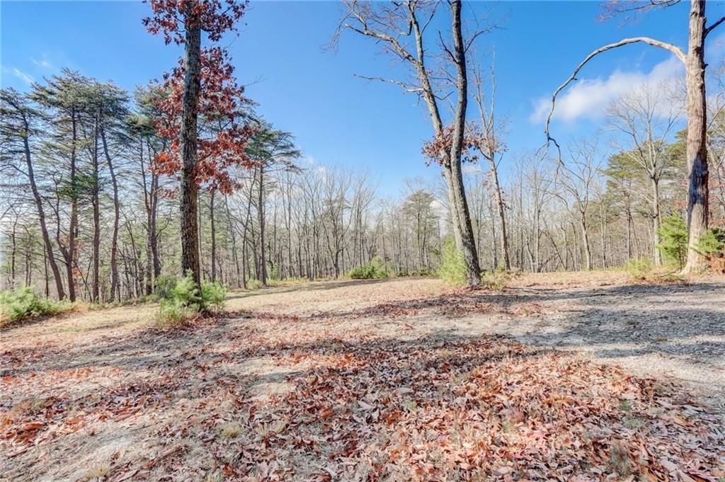 1915 Tower Trail, Waleska, Georgia image 10