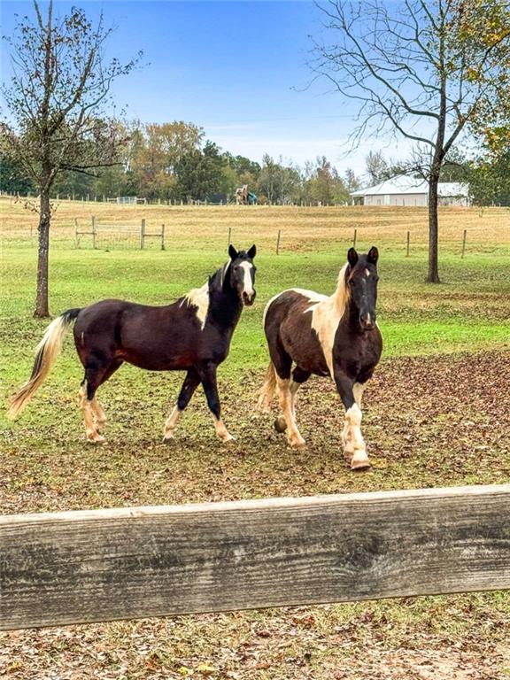 228 Indian Creek Road