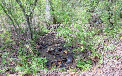 Vacant Land For Sale - T-2 Clayton Gooch Road<br/> Lumpkin County, Dahlonega, GA 30533