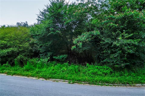 Vacant Land For Sale - 3895 Fieldgreen Court<br/> Gainesville, GA 30507