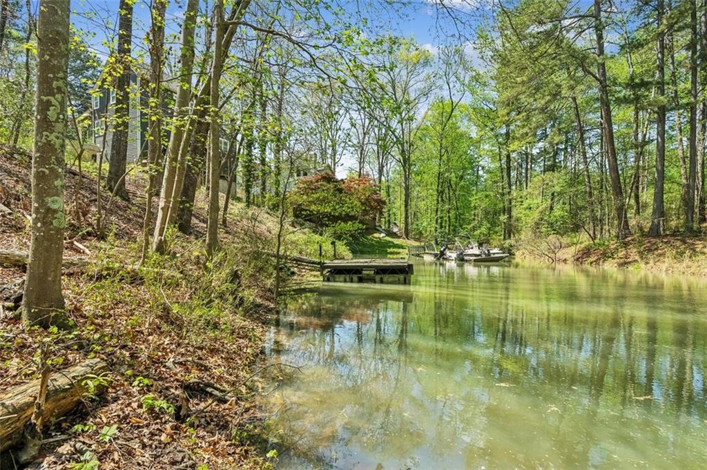 3125 Lakeside Drive, Cumming, Georgia image 39
