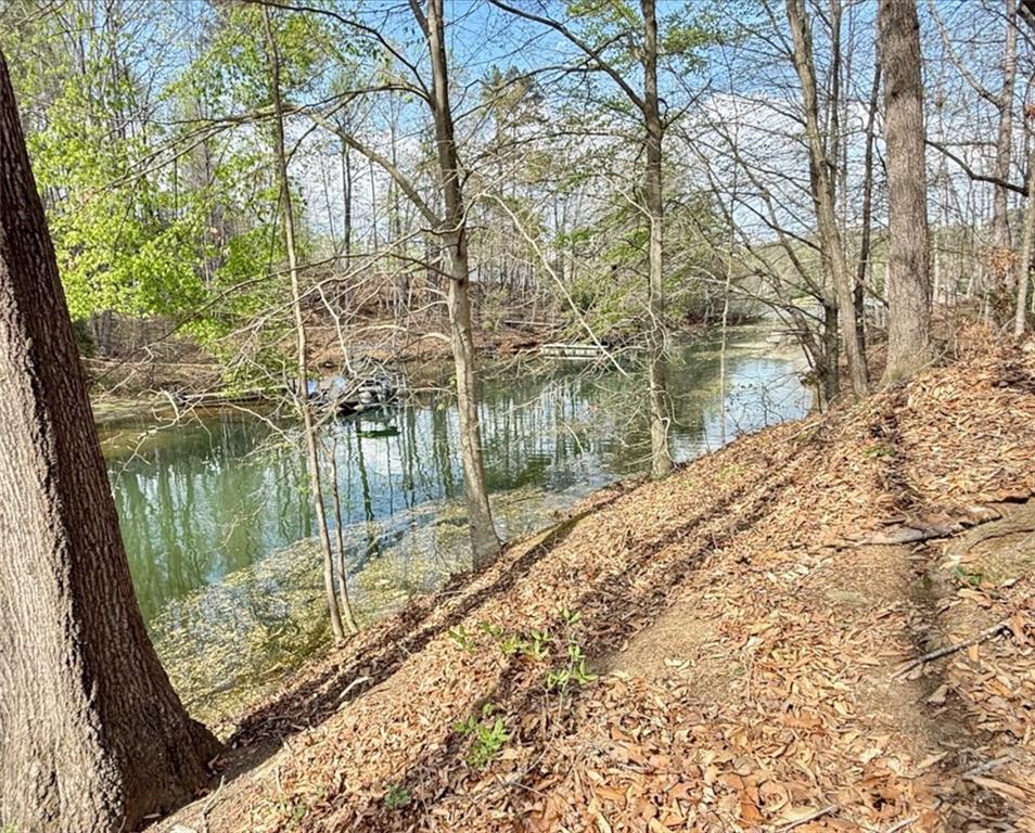 3125 Lakeside Drive, Cumming, Georgia image 29