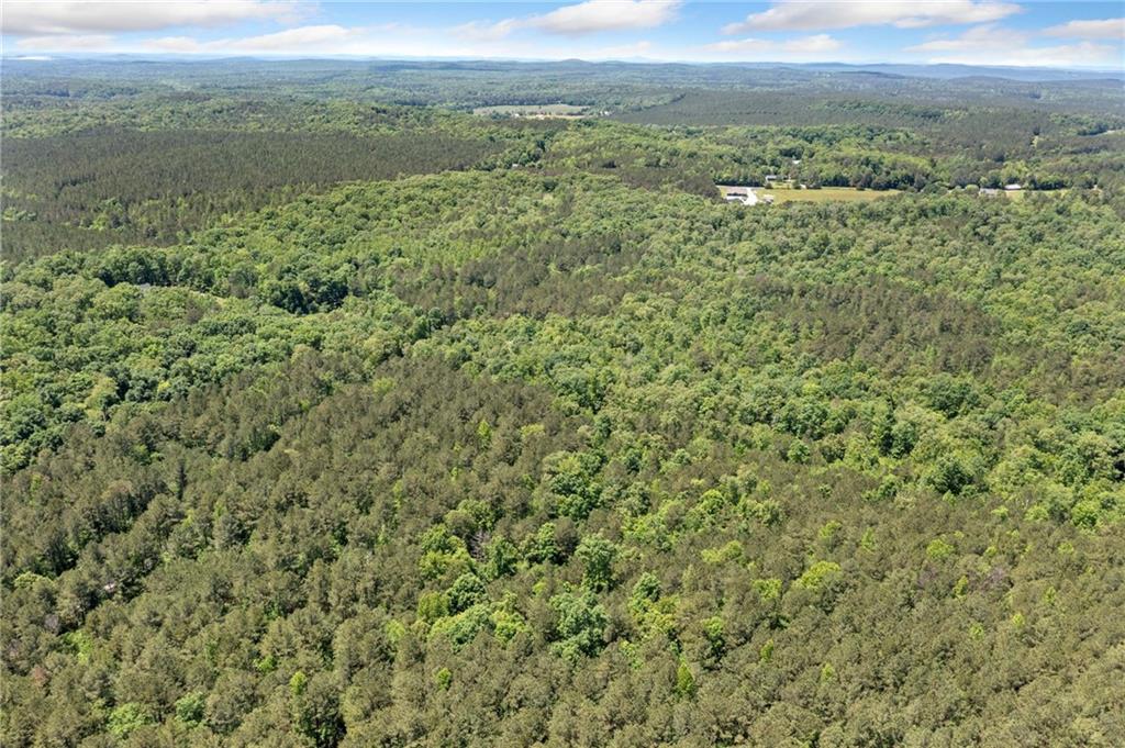 Timberwood Road, White, Georgia image 16