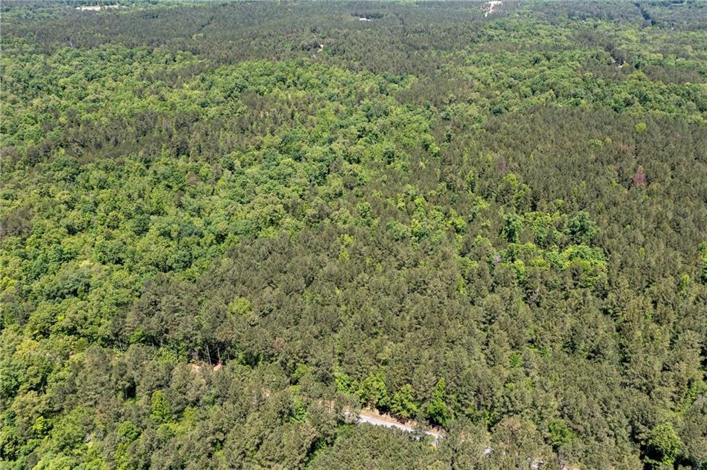 Timberwood Road, White, Georgia image 21
