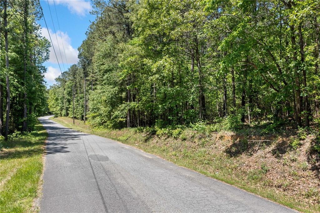 Timberwood Road, White, Georgia image 4