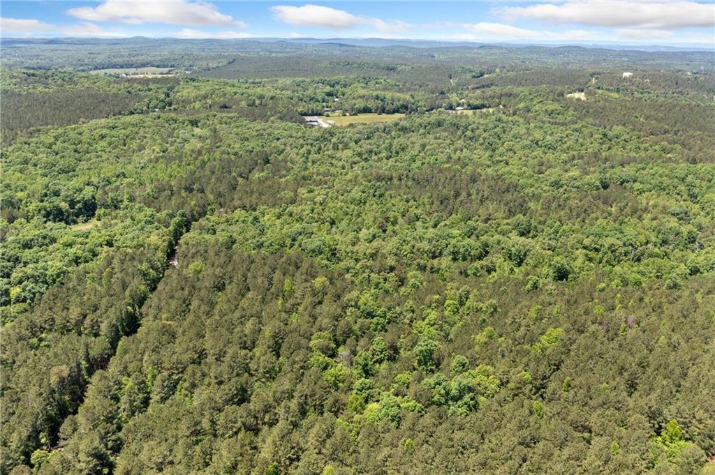 Timberwood Road, White, Georgia image 18