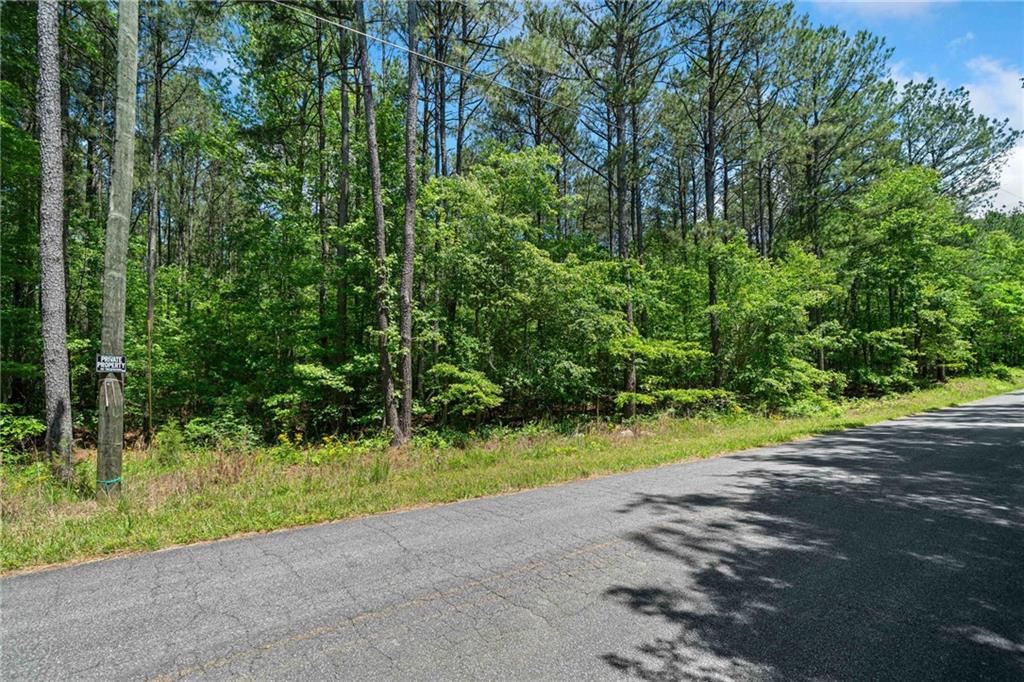 Timberwood Road, White, Georgia image 3