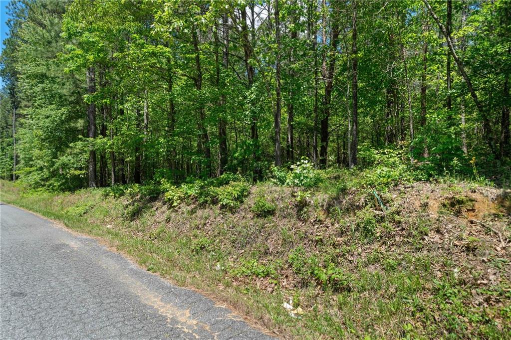 Timberwood Road, White, Georgia image 5