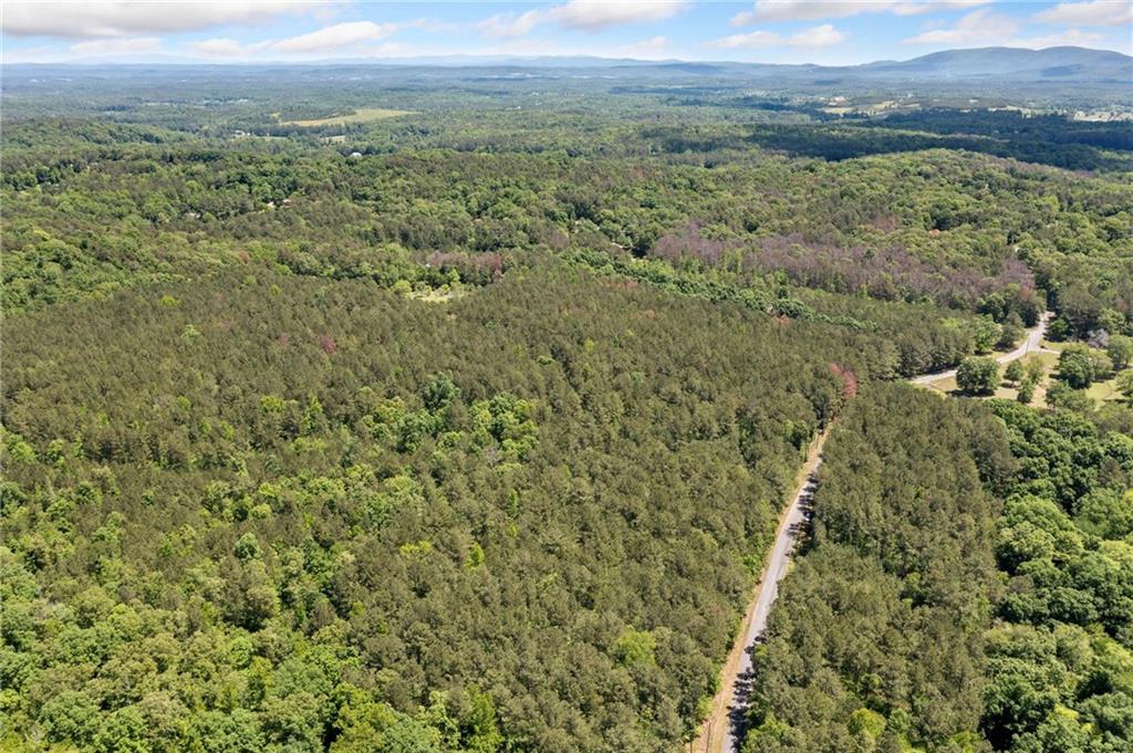 Timberwood Road, White, Georgia image 9