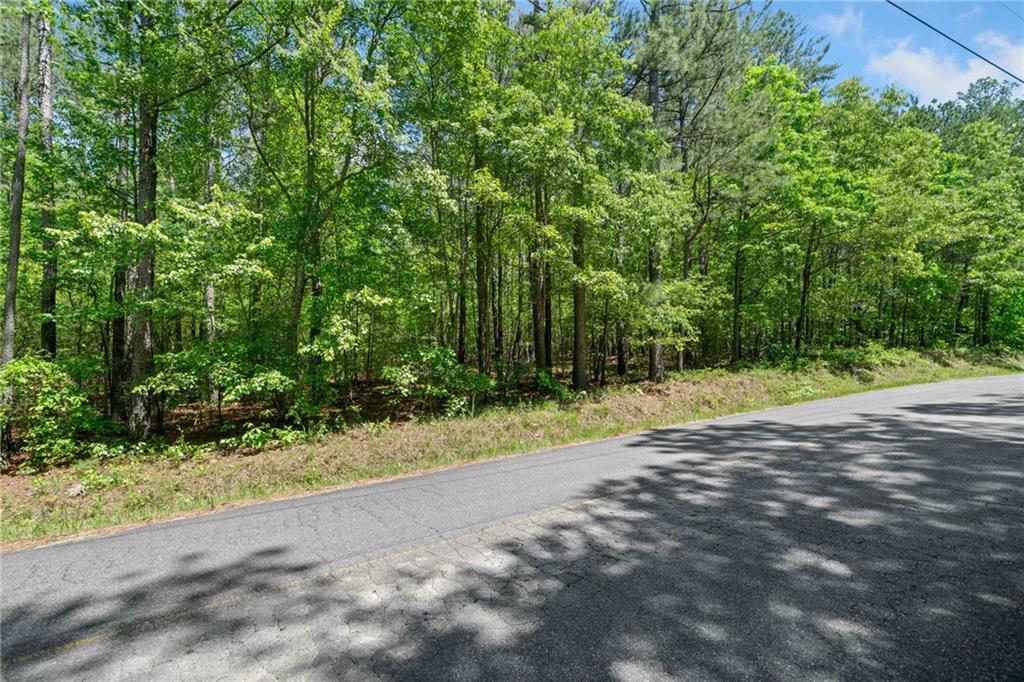 Timberwood Road, White, Georgia image 2