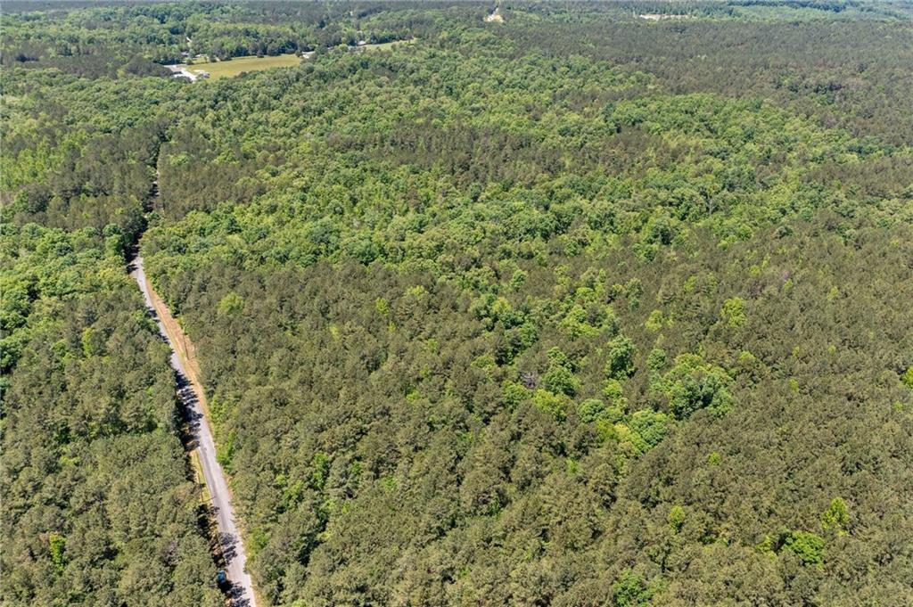 Timberwood Road, White, Georgia image 17