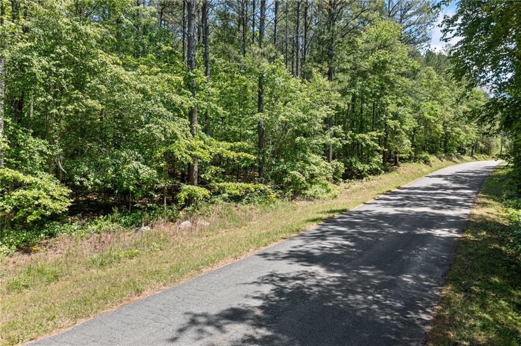 Timberwood Road, White, Georgia image 7