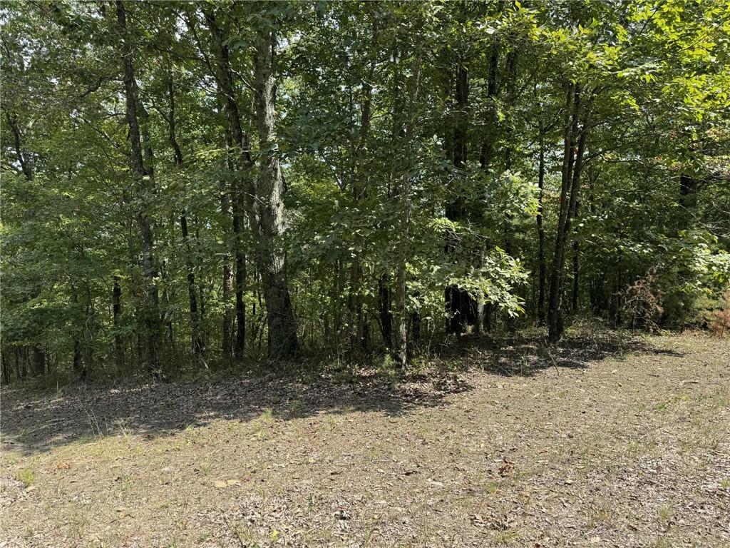 Seller says Sell! He is offering a Vista Pruning to open up views if under contract in the next two weeks! Corner, level lot with a favorable soil test and long range mountain views. Bring your floorplans and get ready for an amazing lifestyle in the North Georgia Mountains! Talking Rock Creek is a lovely neighborhood with great amenities! You are in close proximity to the apple houses of Ellijay, Wineries, Hiking, Shopping, Carters Lake, etc.