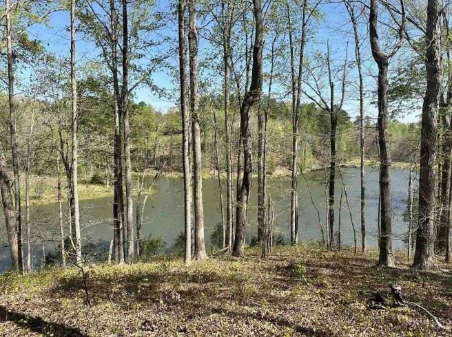 Cabin Lake Rd, Cleveland, Georgia image 12