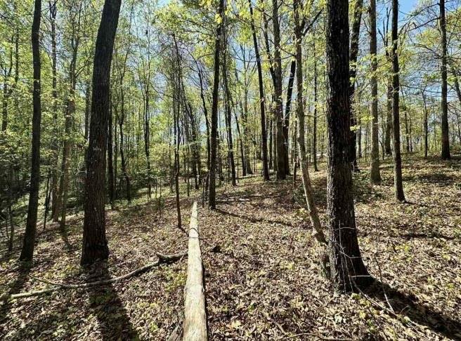 Cabin Lake Rd, Cleveland, Georgia image 9