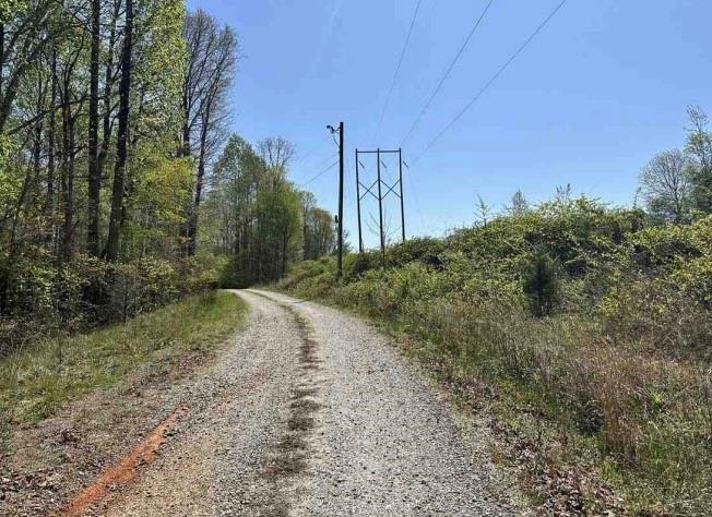 Cabin Lake Rd, Cleveland, Georgia image 4