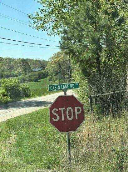 Cabin Lake Rd, Cleveland, Georgia image 14