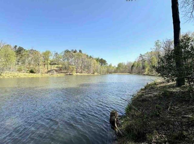 Cabin Lake Rd, Cleveland, Georgia image 10