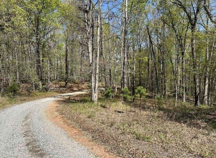 Cabin Lake Rd, Cleveland, Georgia image 3