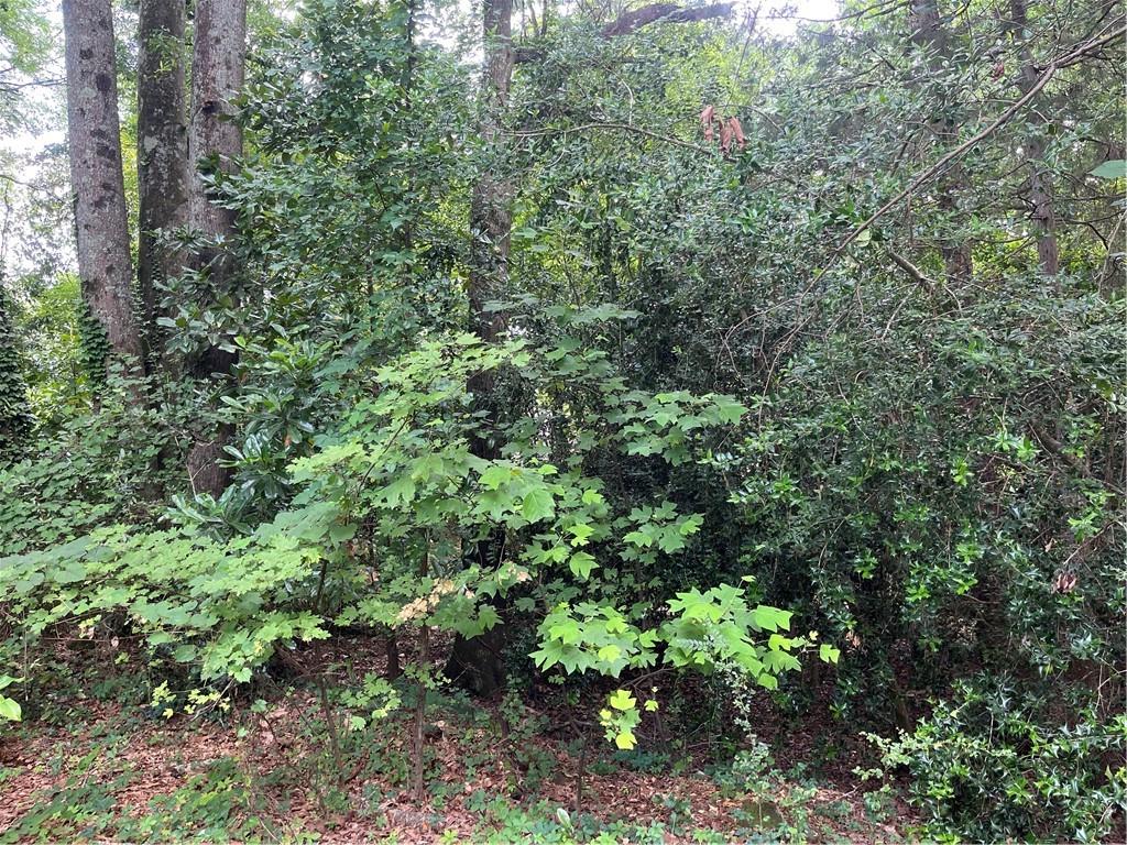 Dobbs Estates - Land